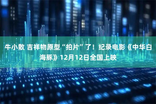 牛小散 吉祥物原型“拍片”了！纪录电影《中华白海豚》12月12日全国上映