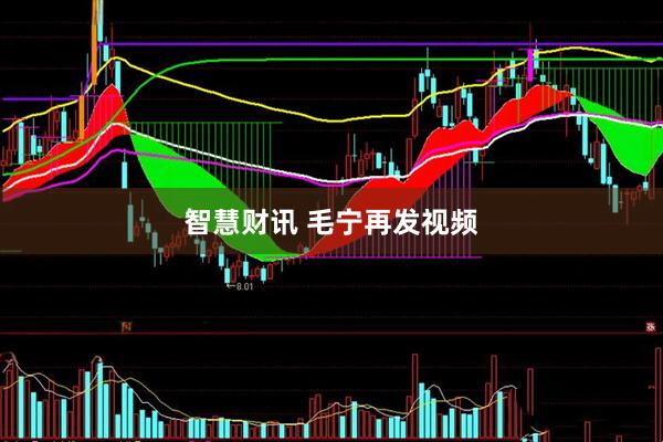 智慧财讯 毛宁再发视频