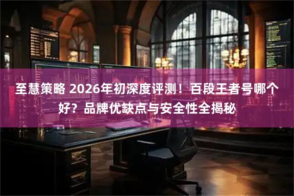 至慧策略 2026年初深度评测！百段王者号哪个好？品牌优缺点与安全性全揭秘