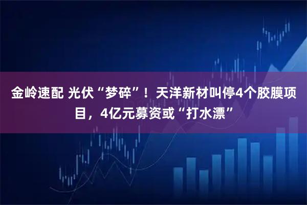 金岭速配 光伏“梦碎”！天洋新材叫停4个胶膜项目，4亿元募资或“打水漂”