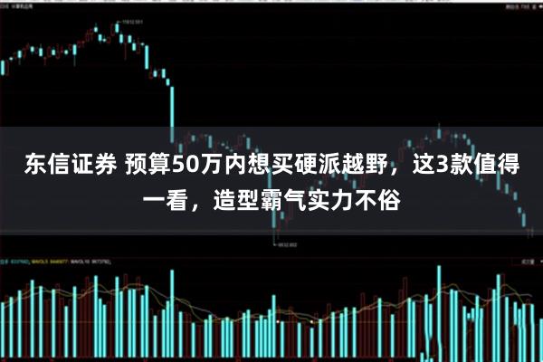 东信证券 预算50万内想买硬派越野，这3款值得一看，造型霸气实力不俗