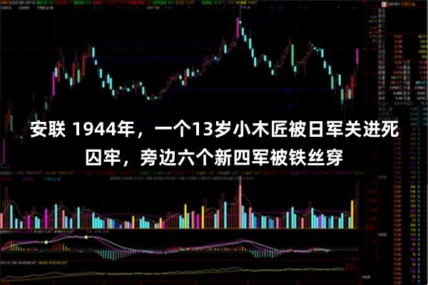 安联 1944年，一个13岁小木匠被日军关进死囚牢，旁边六个新四军被铁丝穿